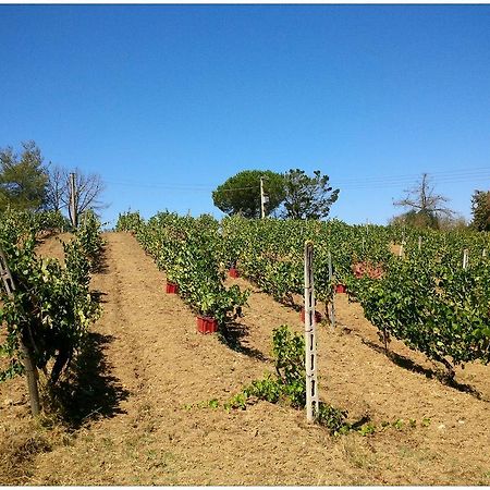 Agriturismo San Giusto Montiano  Luaran gambar