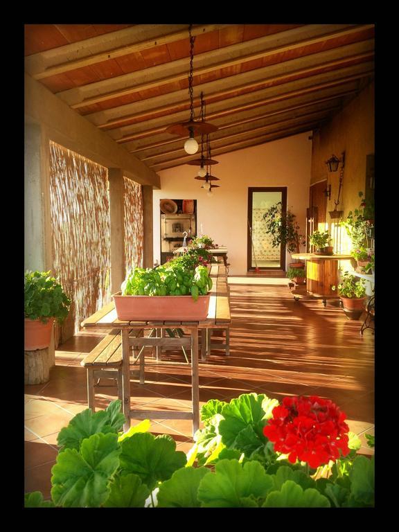 Agriturismo San Giusto Montiano  Luaran gambar