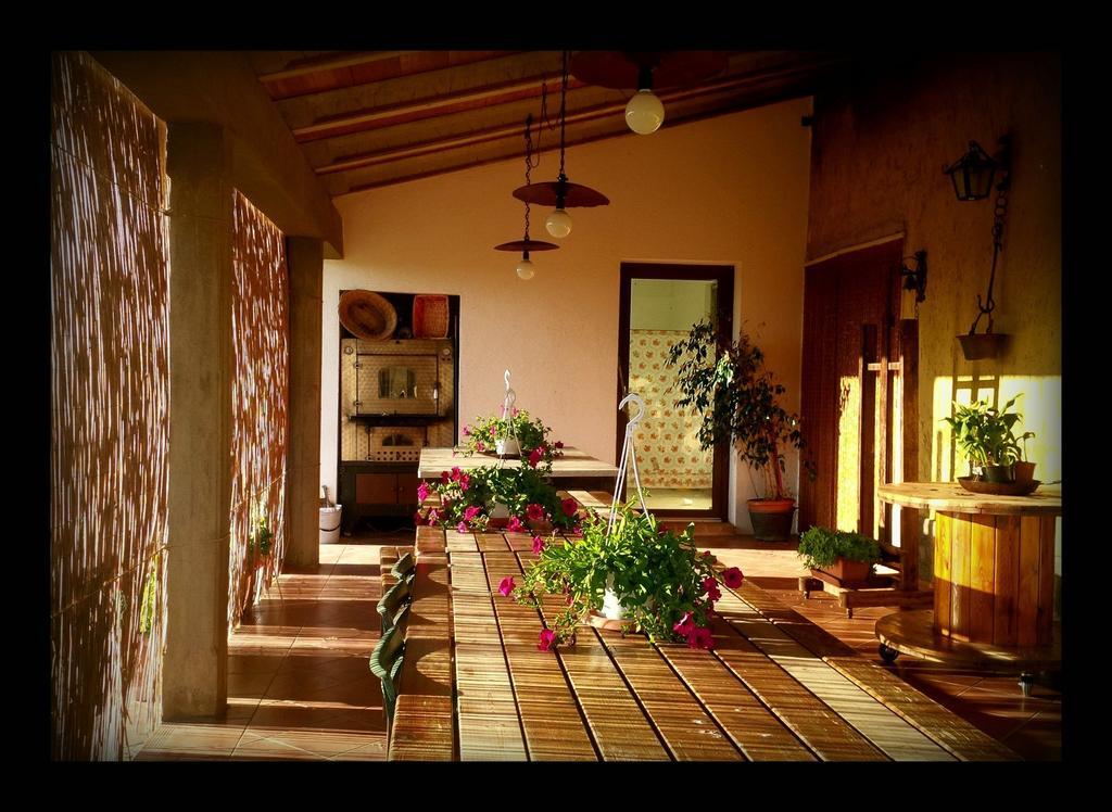 Agriturismo San Giusto Montiano  Luaran gambar