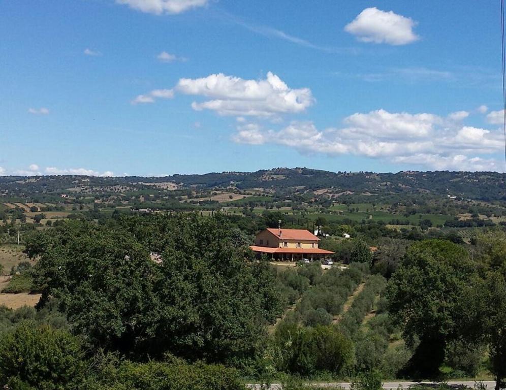 Agriturismo San Giusto Montiano  Luaran gambar