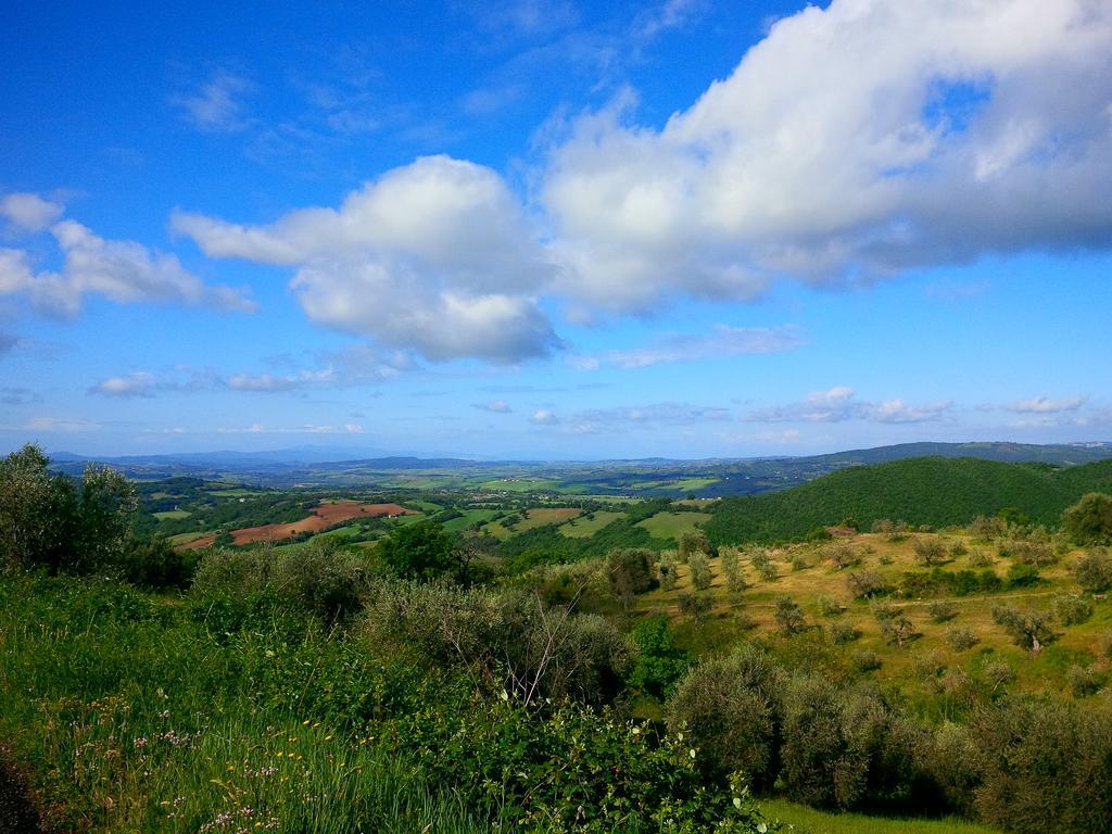 Agriturismo San Giusto Montiano  Luaran gambar