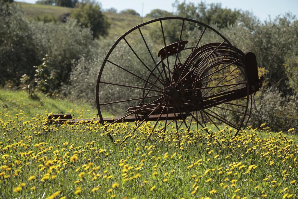 Agriturismo San Giusto Montiano  Luaran gambar